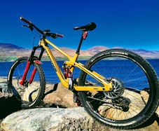 Transition Sentinel Carbon Mountain Bike