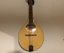 Mandolin