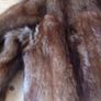 Vintage Fur Coat Image 4