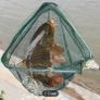 fishing net Image 6