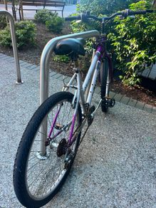 goldrush bike