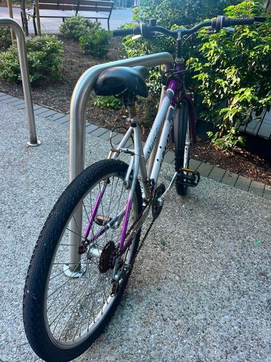 goldrush bike