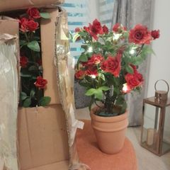 New Rose light up plant pots x 2