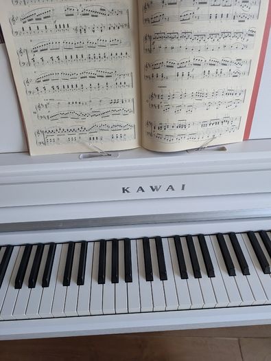 Piano Casio CA501W
