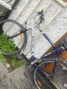 Trek bike for sale