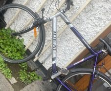 Trek bike for sale