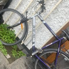 Trek bike for sale