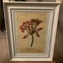 Set of Floral Prints Image 2