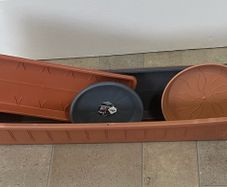 Plastic Planter and Trays