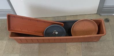 Plastic Planter and Trays