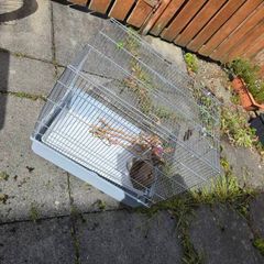 birds cage