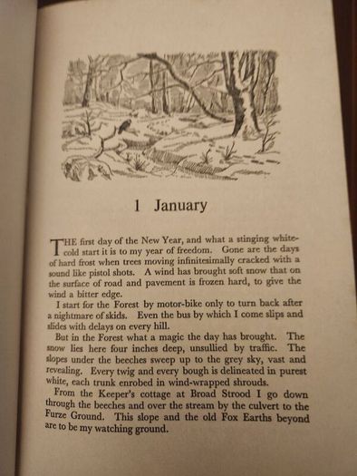 A Forest By Night. By Fred J. Spackman (authir Of A Poachers Tale). First Editions 1965 Hardback With Dustjacket In Good Condition  37.