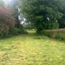 grass cutting Image 5