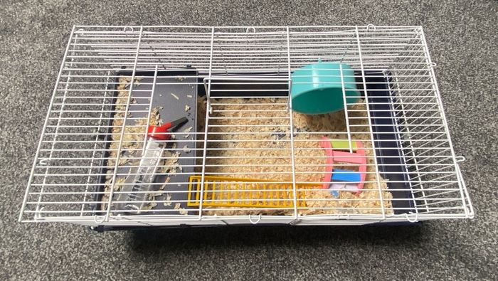 Hamster cage and accessories