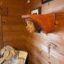 Carved sailors head vintage Image 3