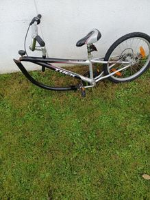 tag along bike