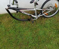 tag along bike