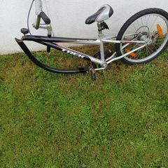 tag along bike