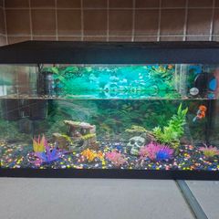 Aquael Leddy 60 Complete Aquarium Set.