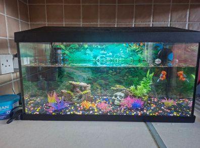 Aquael Leddy 60 Complete Aquarium Set.