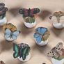 Scotland Direct Butterfly thimble set collection x 15 Sutherland England vintage Image 6
