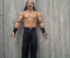 WWE Figures