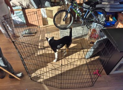 Metal dog playpen