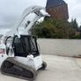 Bobcat Image 3