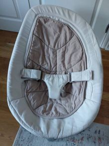 Nuna Leaf swing chair