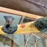 Repro China Ming Guo period 1920s Bone Opium Pipe Image 6