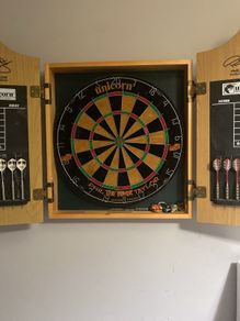Phil Taylor Dart Board