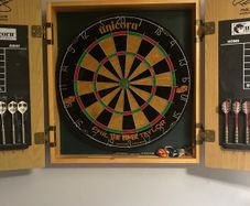 Phil Taylor Dart Board