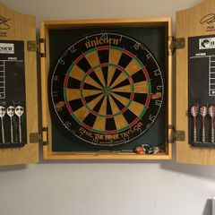 Phil Taylor Dart Board