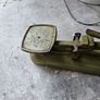 antique green scales Image 6