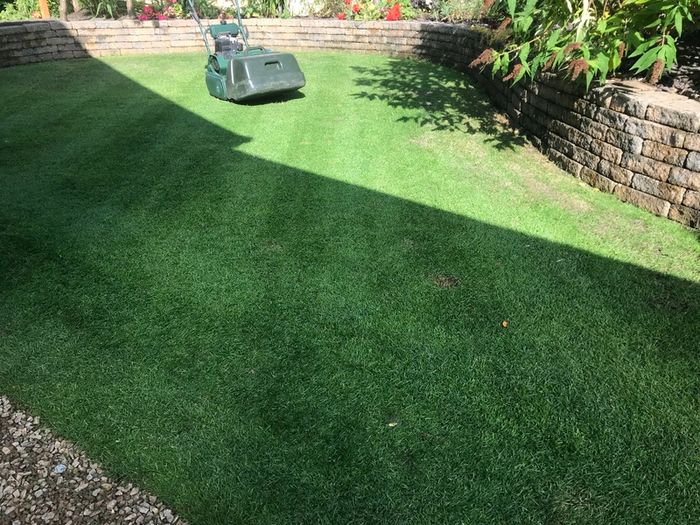 Lawnmower