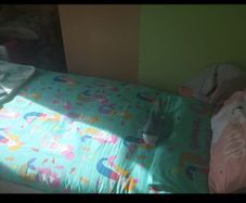 Junior Bed