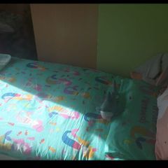 Junior Bed