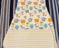 Dunnes Stores sleeping sack size 0-6 months