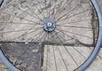 fixie