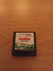 Nintendo ds game