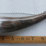 Vintage Decorative Drinking Horn Image 8
