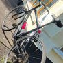 Adult Bike Image 3
