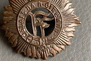 irish army Nurses Cap Badge