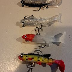 4 Soft Minnows