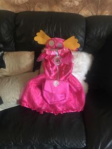 costume  skye paw patrol