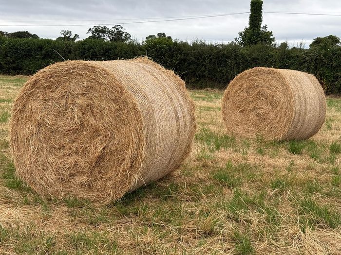 20 Round Bales of Hay