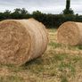 20 Round Bales of Hay Image 2