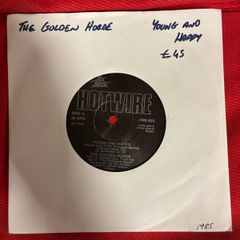 vinyl