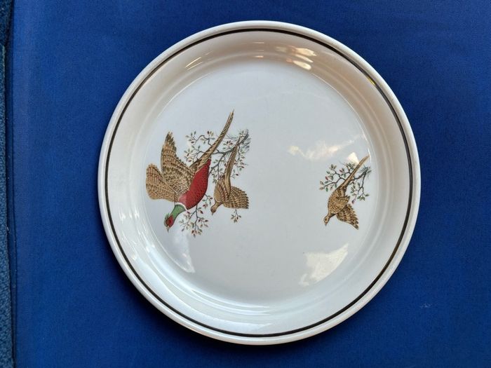 Vintage Arklow Plate