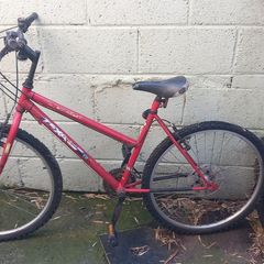 Free to take away adult bike